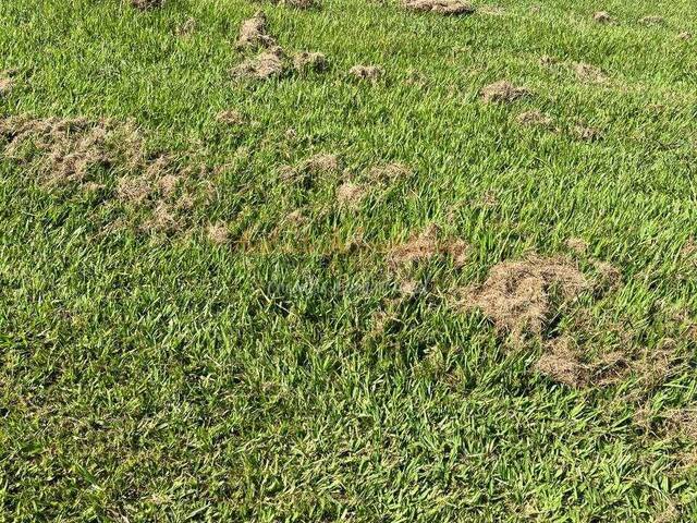 Terreno em condomínio para Venda em Sorocaba - 5